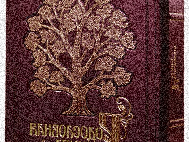 Создаем и пишем родословную книгу