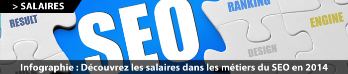 Инфографика: Заработная плата профилей SEO в 2014 году во Франции