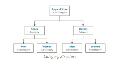 Пример структуры категории